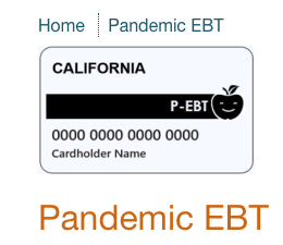 Pandemic EBT (P-EBT)